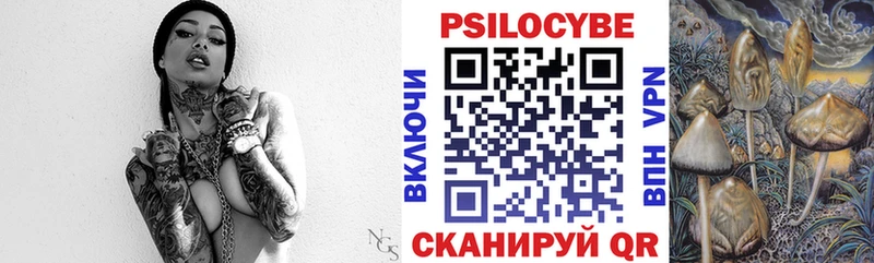 Купить закладки  Собинка  Псилоцибиновые грибы Magic Shrooms 